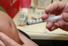 Los casos de gripe aviar siguen sin detectarse vacuna