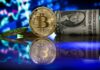 Demócratas del Senado frenan la ley de cripto por las inversiones de Trump en el sector Las criptomonedas
