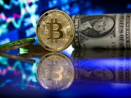 Las criptomonedas