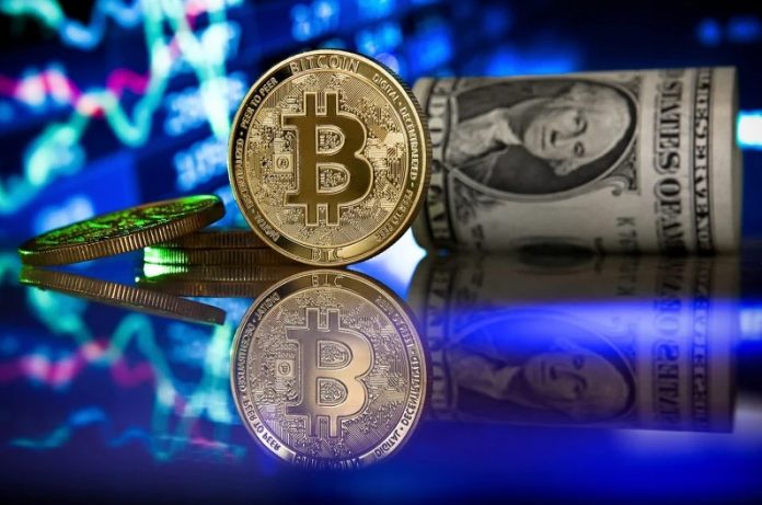 Las criptomonedas Las criptomonedas
