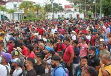 caravana