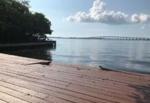Alerta bañistas, puede haber bacterias “carnívoras” en el agua Miami-Dade