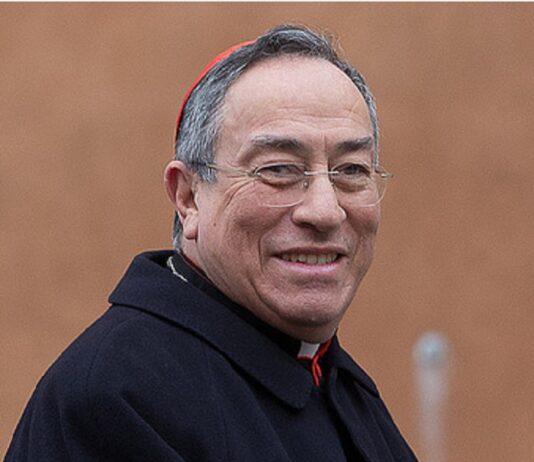 El cardenal Maradiaga: "Lo de la renuncia del papa es una telenovela barata" Óscar Andrés Rodríguez Maradiaga.
