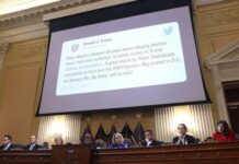 Las cinco revelaciones del comité que investiga el asalto al Capitolio revelaciones del comité que investiga el asalto al Capitolio