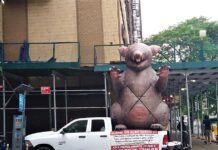 La rata gigantesca
