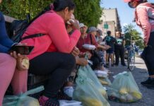 Jornaleras de Nueva York (4)