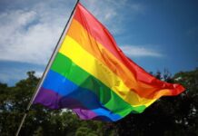Lgbtq