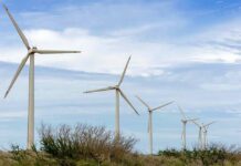 Jueza impide al Gobierno Trump obstaculizar proyectos de energía renovable mediante normas energías renovables