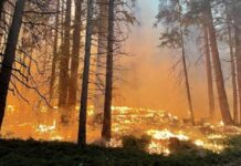 incendio