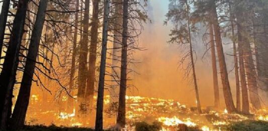 incendio