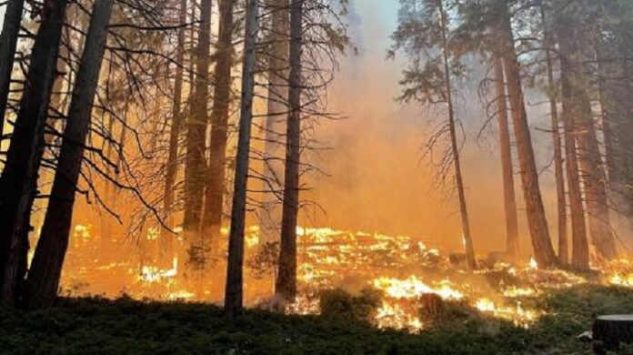 incendio