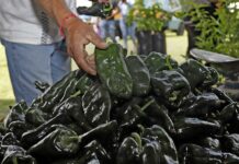 chile en nogada mexicano