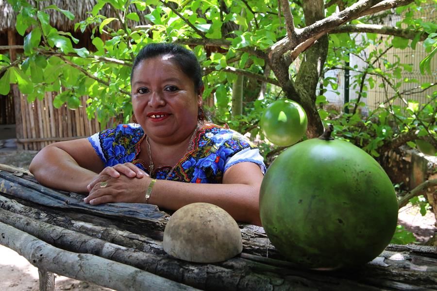La chef indígena Rosalía Chay (2)