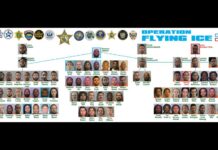 Más de 80 arrestos por drogas en vuelos regulares de California a Florida Operation Flying Ice