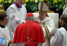 El papa crea a 20 nuevos cardenales, de ellos 1 español y 4 latinoamericanos El papa Francisco nombró hoy 20 nuevos cardenales en una ceremonia en la basílica del San Pedro en el Vaticano, en el primer consistorio que tiene lugar en pleno agosto y que, como los anteriores, otorga al colegio cardenalicio una mayor representación de todas las iglesias.
