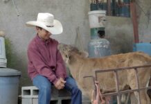 Fotografía cedida por Piano Distribución donde se observa un fragmento del documental "Temporada de campo".