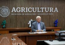 Víctor Villalobos Arámbula