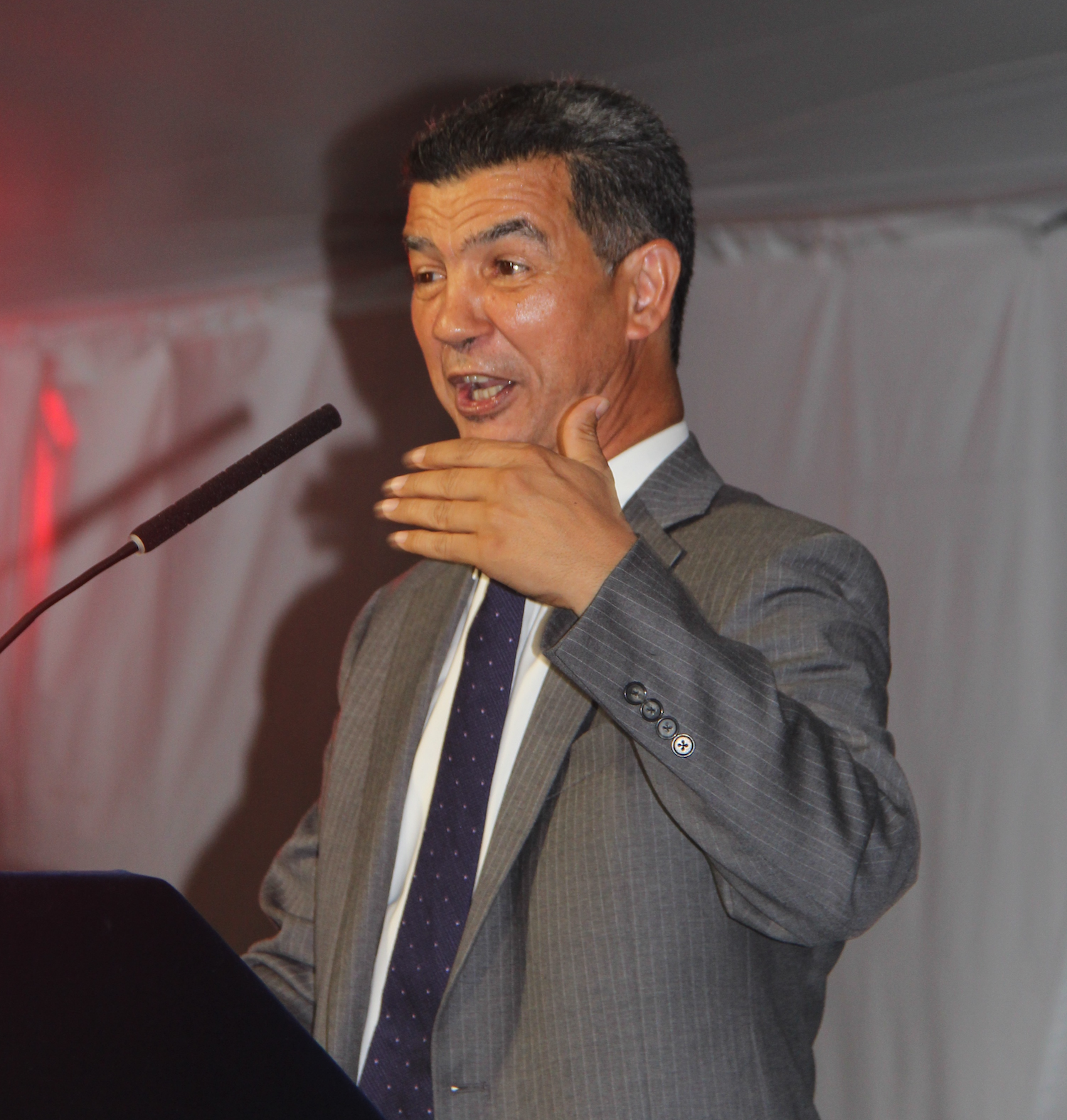 YDANIS RODR&Iacute;GUEZ