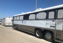 autobuses de migrantes indocumentados