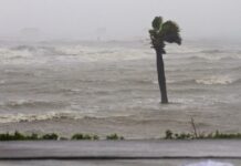 tormenta tropical