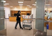 Bibliotecarios