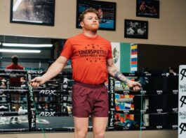 El mexicano Saúl 'Canelo' Álvarez quiere terminar antes de los doce asaltos su combate en Las Vegas con Guennadiy Golovkin, en el que están en juego este sábado todos los títulos de la división supermediana, pero admitió que el kazajo es un rival "fuerte e inteligente".