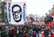 Congreso chileno aprueba solicitar a EE.UU. documentos sobre su rol en el golpe de Estado Salvador Allende en Chile (3)