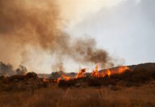 incendios