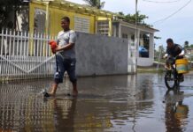 varios peces muertos mientras flotan en agua acumulada en una calle tras el paso del huracán Fiona (3)