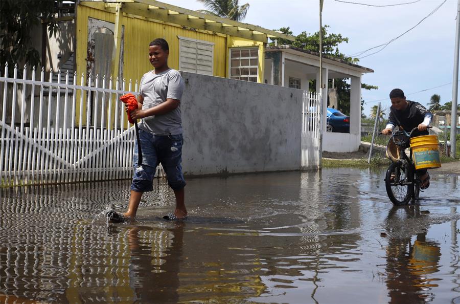 varios peces muertos mientras flotan en agua acumulada en una calle tras el paso del huracán Fiona (2) varios peces muertos mientras flotan en agua acumulada en una calle tras el paso del huracán Fiona (3)