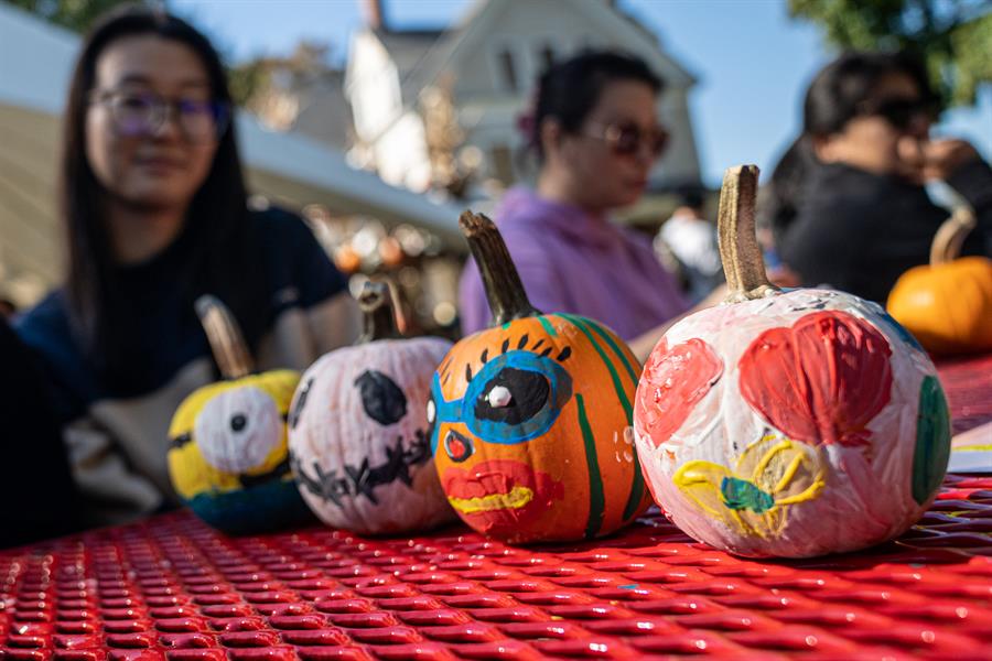 Festival de Calabazas organizado en el parque de la popular Isla de los Gobernadores, hoy en Nueva York (3)