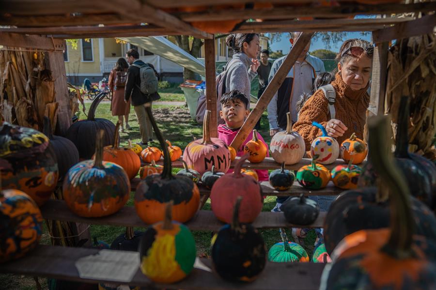 Festival de Calabazas organizado en el parque de la popular Isla de los Gobernadores, hoy en Nueva York (3)