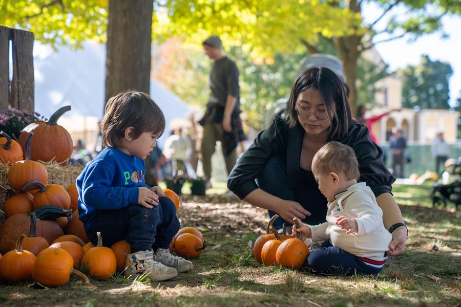 Festival de Calabazas organizado en el parque de la popular Isla de los Gobernadores, hoy en Nueva York (3)