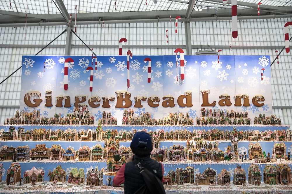 GingerBread Lane at the New York Hall of Science