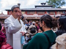Una iglesia bendice a más de 300 mascotas en el sureste de México Más de 300 animales domésticos y sus dueños presenciaron este sábado la ceremonia de bendición a las mascotas en el municipio de San Cristóbal de Las Casas, en el sureste mexicano, para protegerlos del peligro y la desgracia.