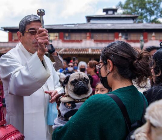 Más de 300 animales domésticos y sus dueños presenciaron este sábado la ceremonia de bendición a las mascotas en el municipio de San Cristóbal de Las Casas, en el sureste mexicano, para protegerlos del peligro y la desgracia.