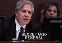 El secretario general de la OEA, investigado por relación con una subordinada El secretario general de la Organización de los Estados Americanos (OEA), el uruguayo Luis Almagro, está siendo objeto de una investigación interna por una relación íntima con otra persona de la plantilla de este organismo, confirmaron a EFE fuentes conocedoras del caso.