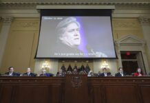 Steve Bannon