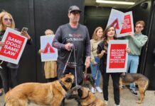 Animalistas protestan en Nueva York para que España cambie protección animal