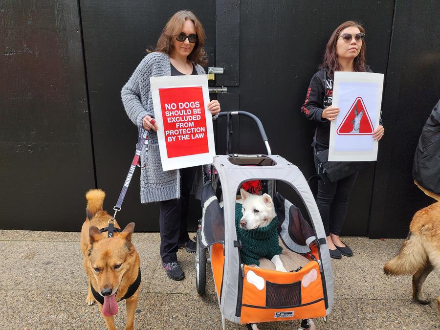 un grupo de personas participa en una concentración en demanda de incluir en el proyecto de ley relacionado con la defensa de los animales a perros de caza (2)