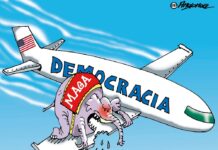 Elecciones de Medio Tiempo Elecciones de Medio Tiempo