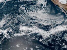 Lisa se disipa cerca de México y Florida se halla atenta a un posible ciclón La depresión tropical Lisa se disipó este sábado frente a la costa del sureste de México, donde ha causado fuertes lluvias, mientras Florida (EEUU) vigila la posible formación de una tormenta tropical que produciría una jornada muy lluviosa el martes, día en que el país celebre elecciones legislativas de medio mandato.