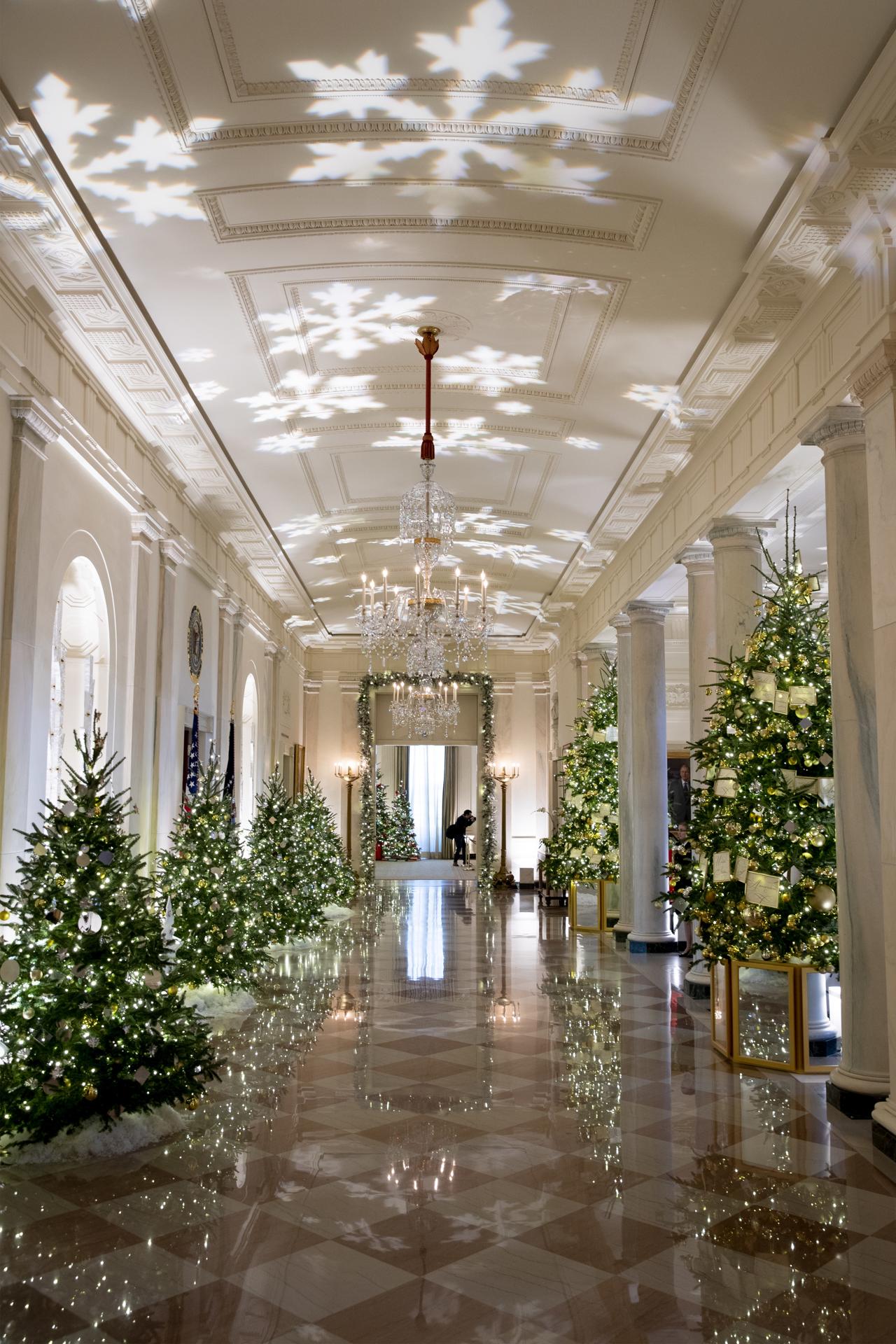 Jill Biden engalana la Casa Blanca (6)
