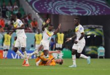 Senegal-Paises Bajos