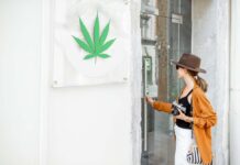 Nueva York otorga primeras licencias de Marihuana cannabis