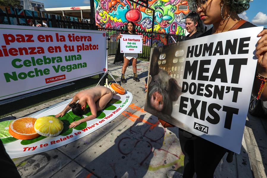 Activistas de PETA Latino se manifiestan hoy contra la tradici&oacute;n del lech&oacute;n asado navide&ntilde;o (3)
