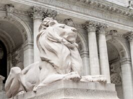 En la ciudad de Nueva York la principal institución que promueve la educación y la cultura para todas las personas, sin excepción, es sin duda alguna la Biblioteca Pública.