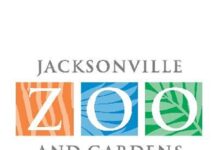 Un oso negro de zoológico de Florida se escapó, hirió a un cuidador y murió Jacksonville Zoo and Gardens.