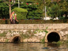 Liberan peces en laguna convertida en colosal fosa séptica en México Laguna de las IIusiones (1)