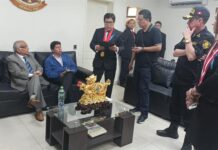 Castillo termina su turbulento mandato con un suicidio político